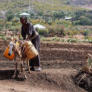 Äthiopische Bäuerin mit Esel