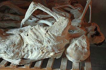 [Translate to Englisch:] Mumifizierte Tote in der Völkermordgedenkstätte Murambi